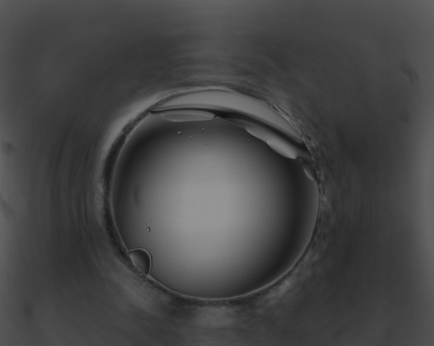 X0000090870342200708031013