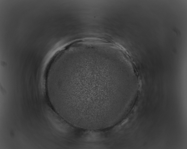 X0000090870343200708031013