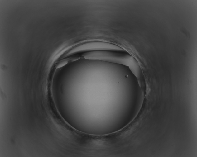 X0000090870344200708031013