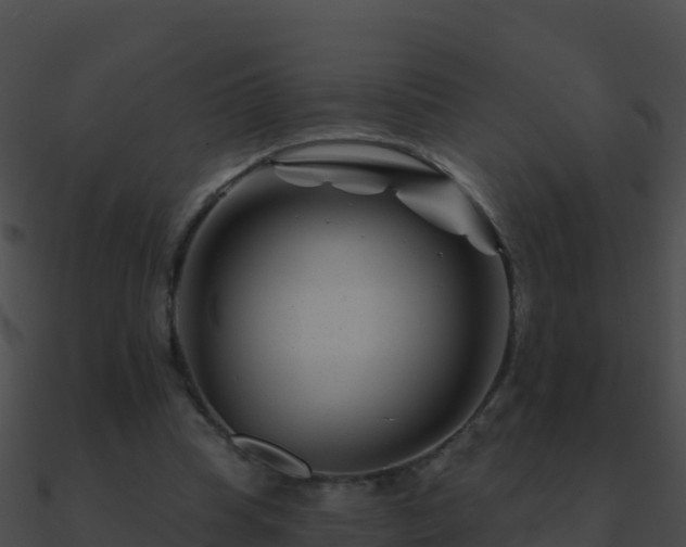 X0000090870345200708031013