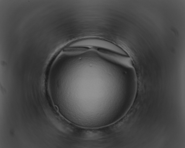 X0000090870346200708031013