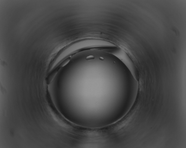 X0000090870349200708031014