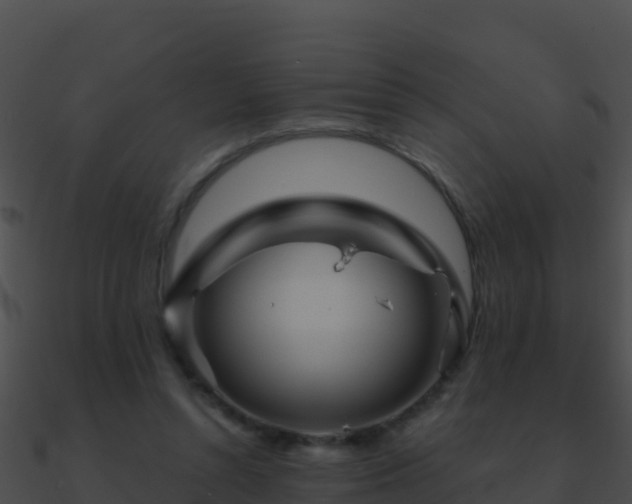 X0000090870352200708031014