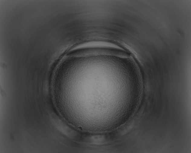 X0000090870353200708031014