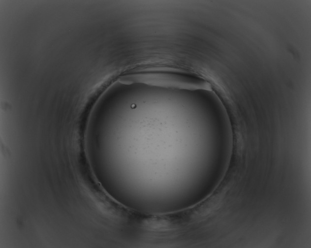 X0000090870354200708031014