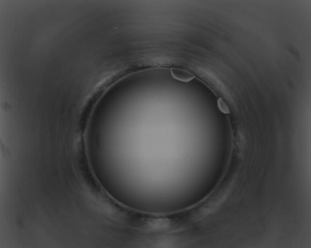 X0000090870355200708031014