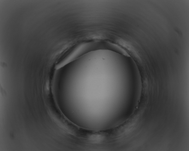 X0000090870358200708031014