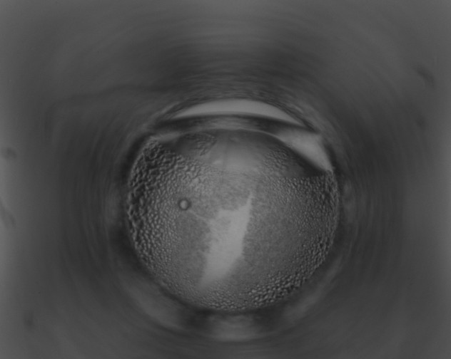 X0000090870359200708031014