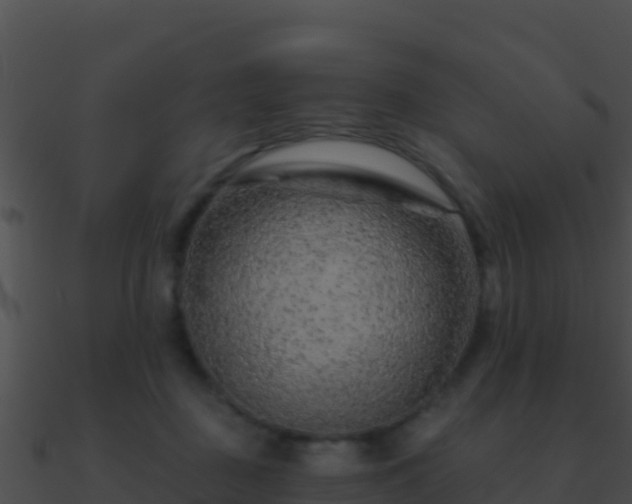 X0000090870363200708031014