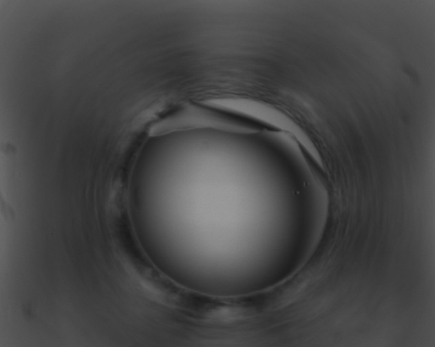 X0000090870364200708031014