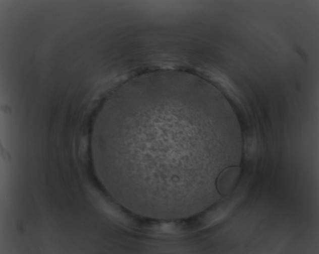 X0000090870365200708031014