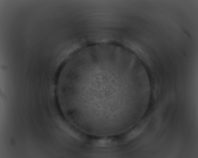 X0000090870366200708031014