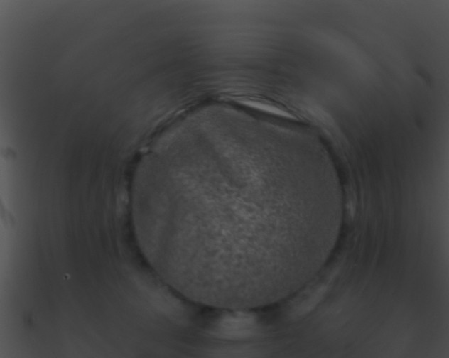 X0000090870369200708031014