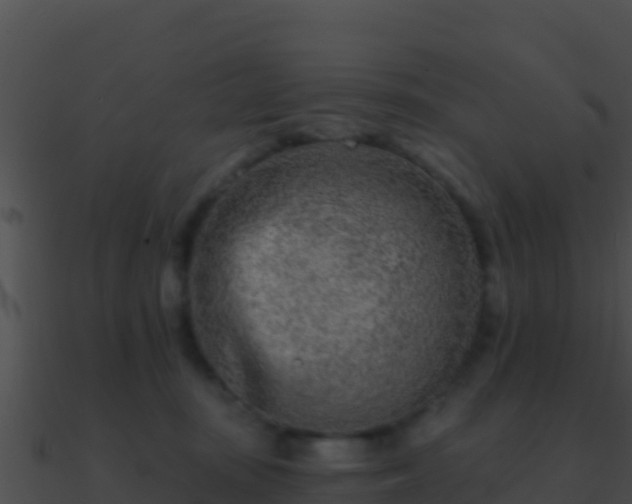 X0000090870371200708031014