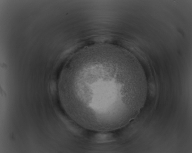 X0000090870375200708031014