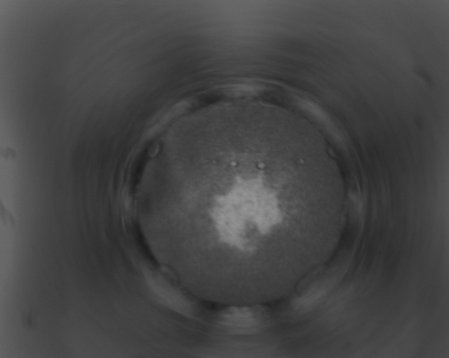 X0000090870381200708031014