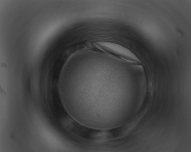 X0000090870383200708031014