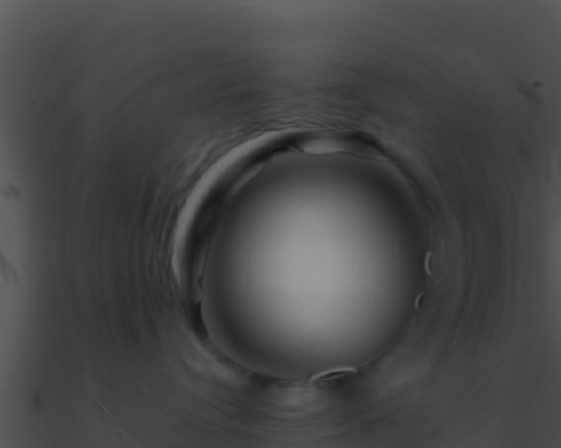 X0000090870384200708031014