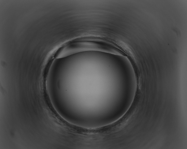 X0000090870388200708031013