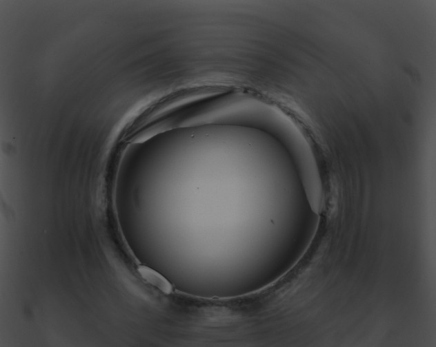 X0000090870392200708031013