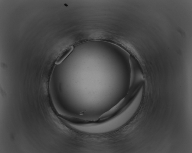 X0000090870393200708031013