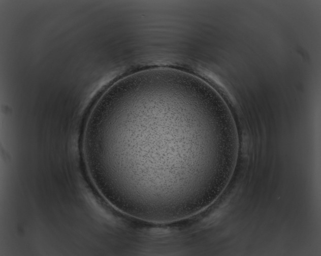 X0000090870394200708031013