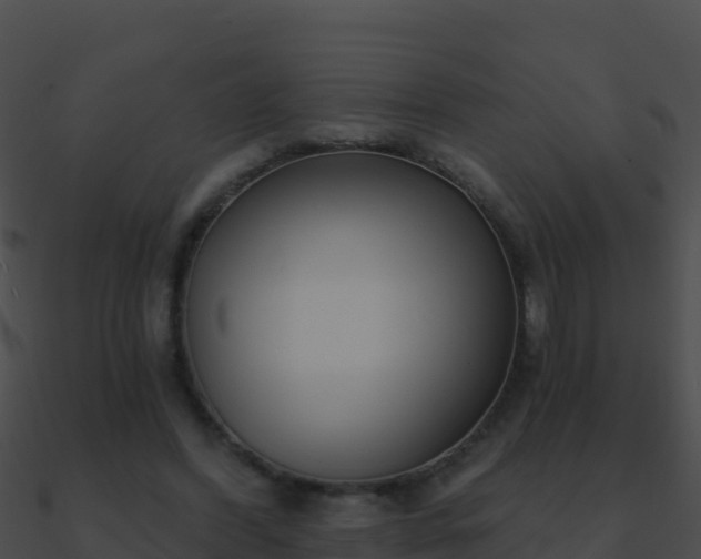 X0000090870396200708031013