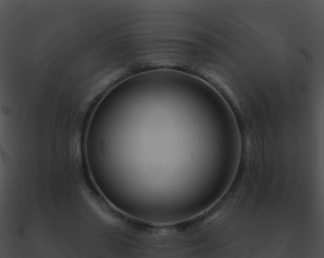 X0000090870398200708031013