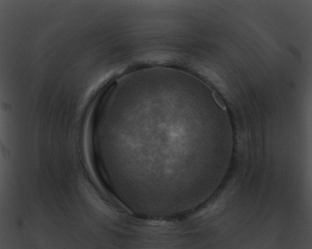 X0000090870399200708031013