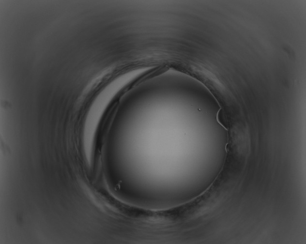 X0000090870400200708031013