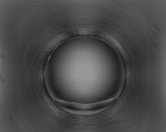 X0000090870401200708031013