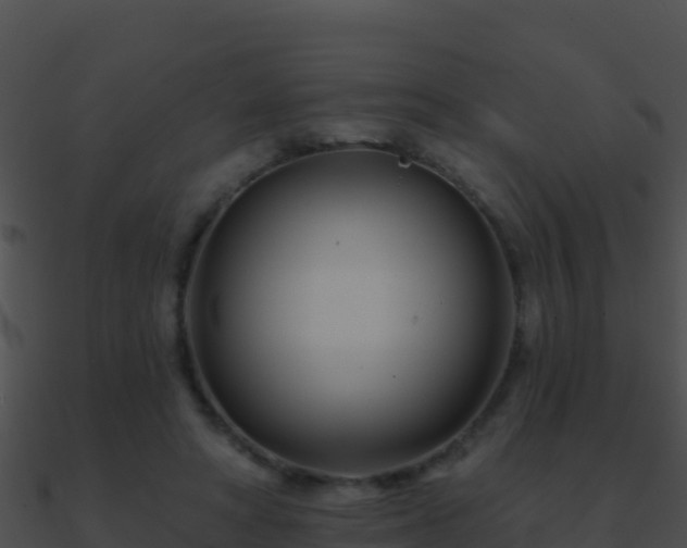 X0000090870402200708031013