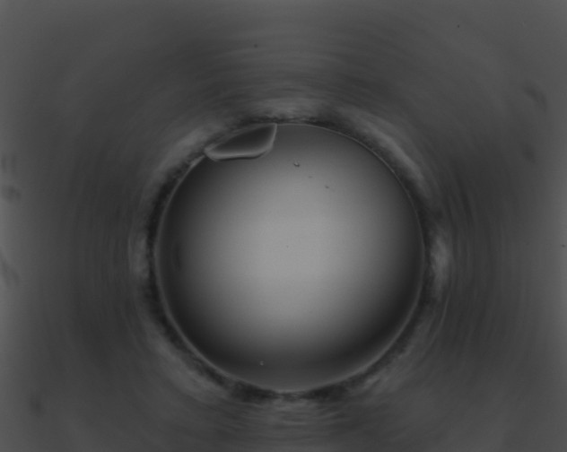 X0000090870403200708031013