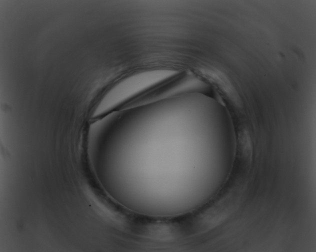 X0000090870404200708031013