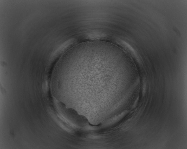 X0000090870405200708031013