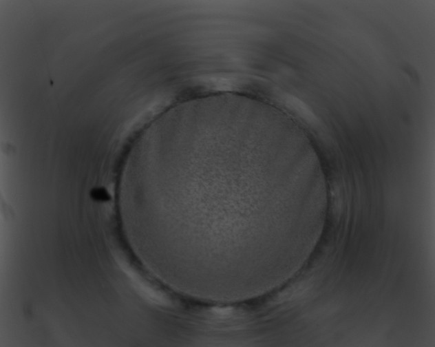 X0000090870406200708031013