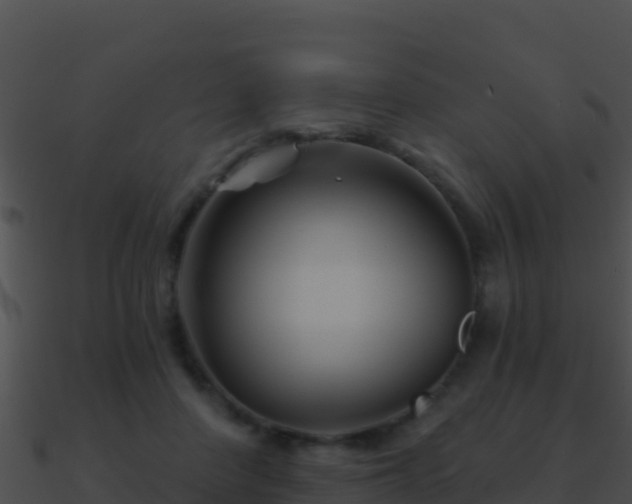 X0000090870408200708031013