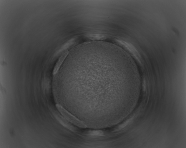 X0000090870409200708031013