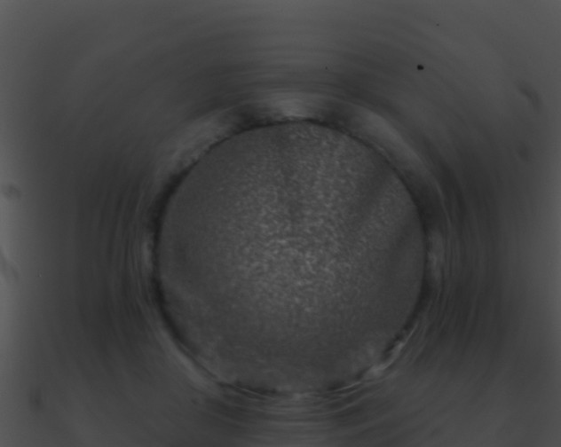 X0000090870410200708031013