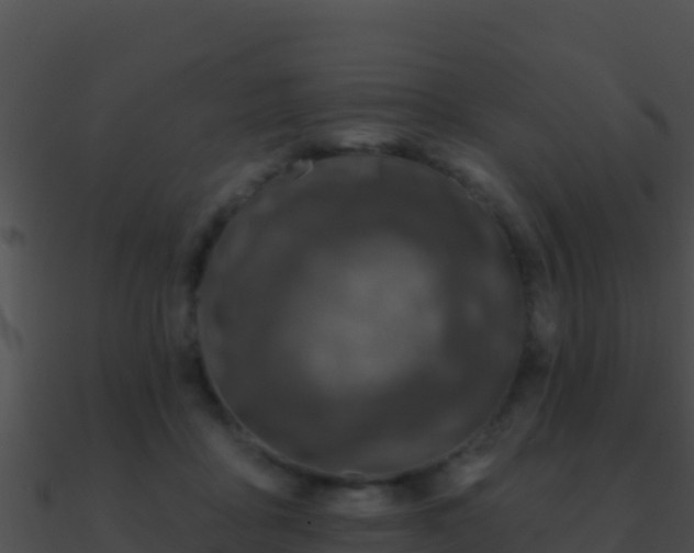 X0000090870411200708031013