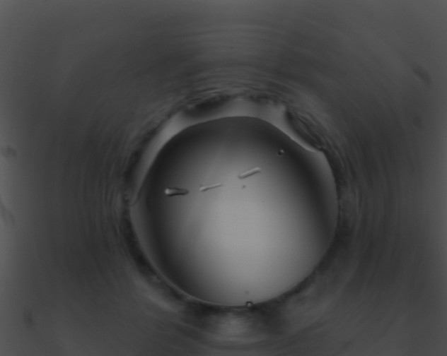 X0000090870412200708031013