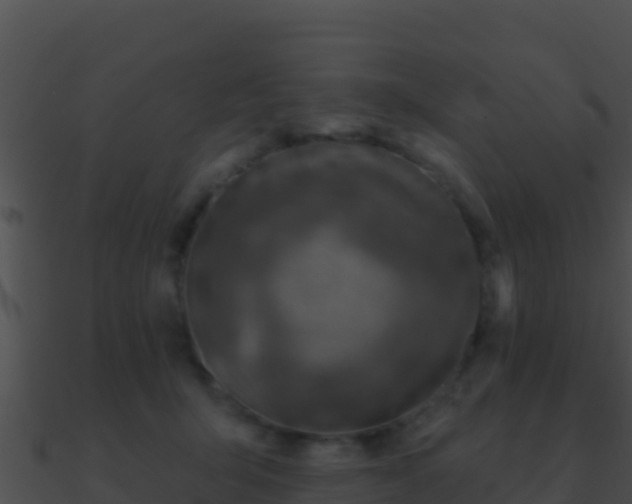 X0000090870415200708031013