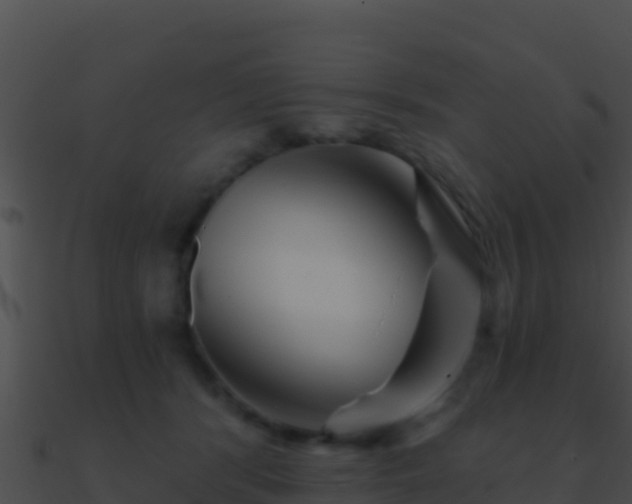 X0000090870416200708031013