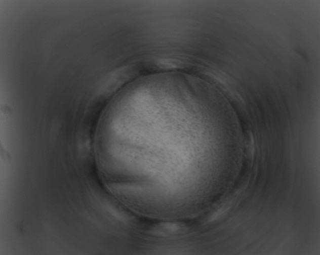 X0000090870418200708031013