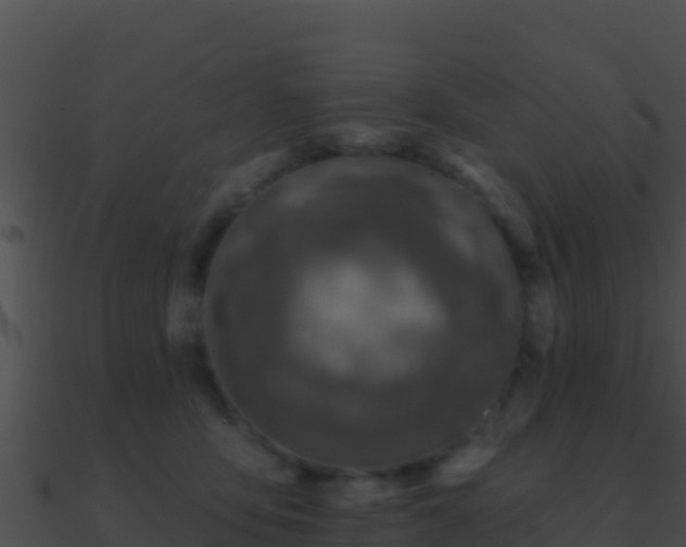 X0000090870419200708031013