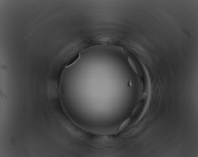 X0000090870421200708031013