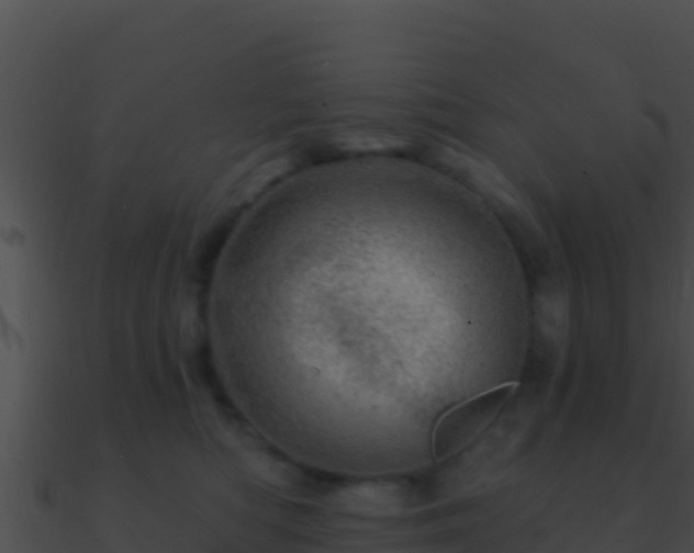 X0000090870422200708031013