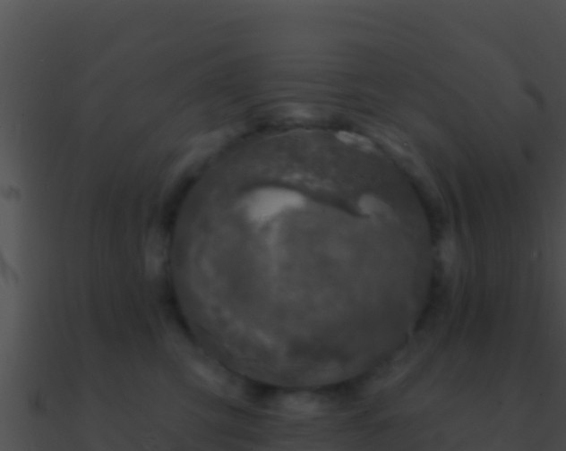 X0000090870423200708031013