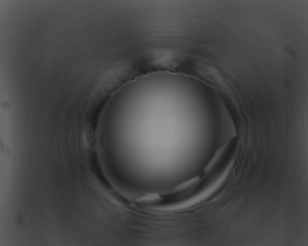 X0000090870424200708031013