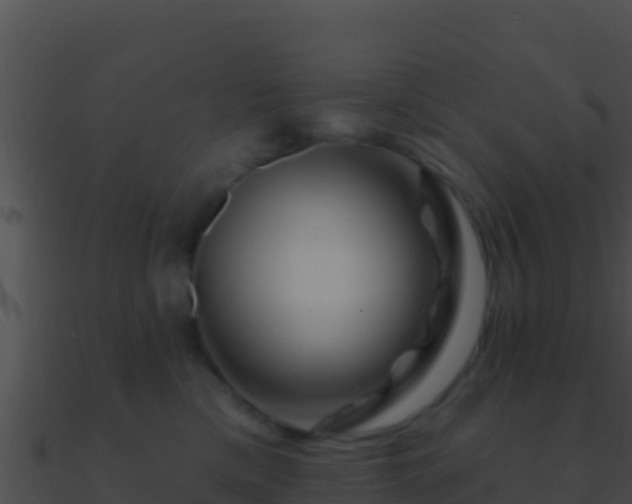 X0000090870425200708031013